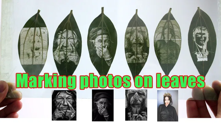 marking photos on leaves