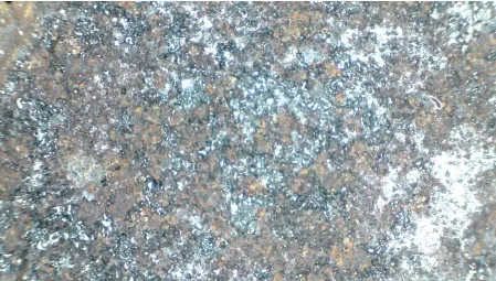 rust state of the iron plate surface is complex and the thickness of the rust varies - - observed through a 200x electron microscope 3